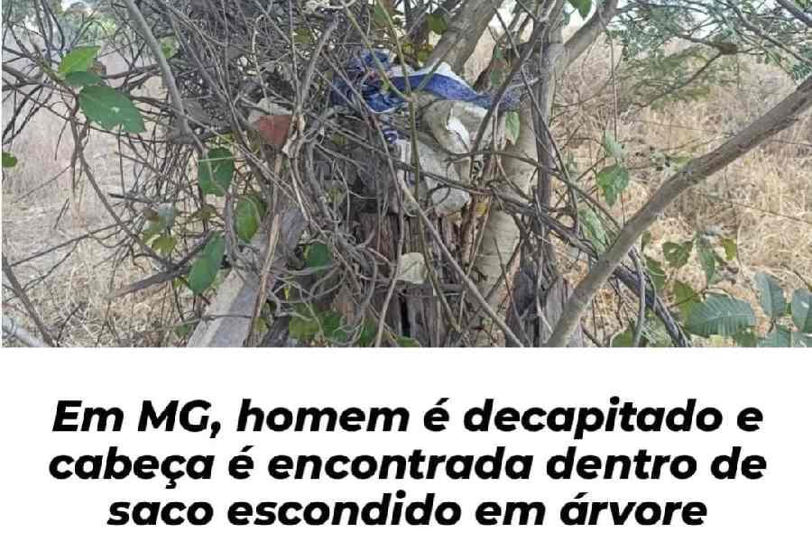 Em MG, homem é decapitado e cabeça é encontrada dentro de saco escondido em árvore