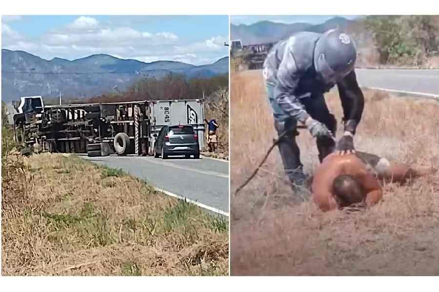 Ataque de abelhas faz motorista perder o controle, bater em poste e tombar caminhão em rodovia