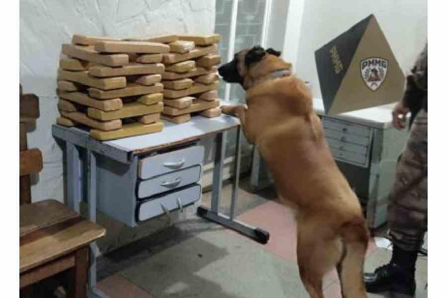 Mulher vinda de São Paulo é presa com 37 barras de maconha em hotel de Montes Claros