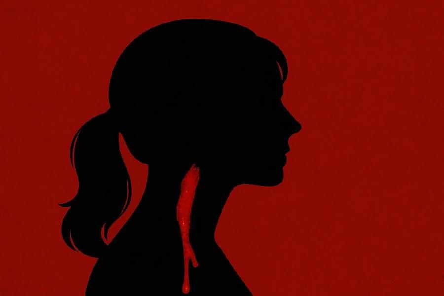 Governo sanciona lei que inclui conteúdos de combate à violência contra mulher nas escolas