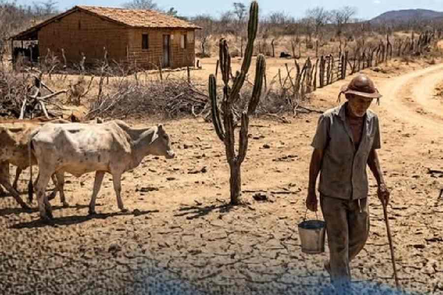 O Nordeste brasileiro entrou oficialmente na zona de monitoramento crítico
