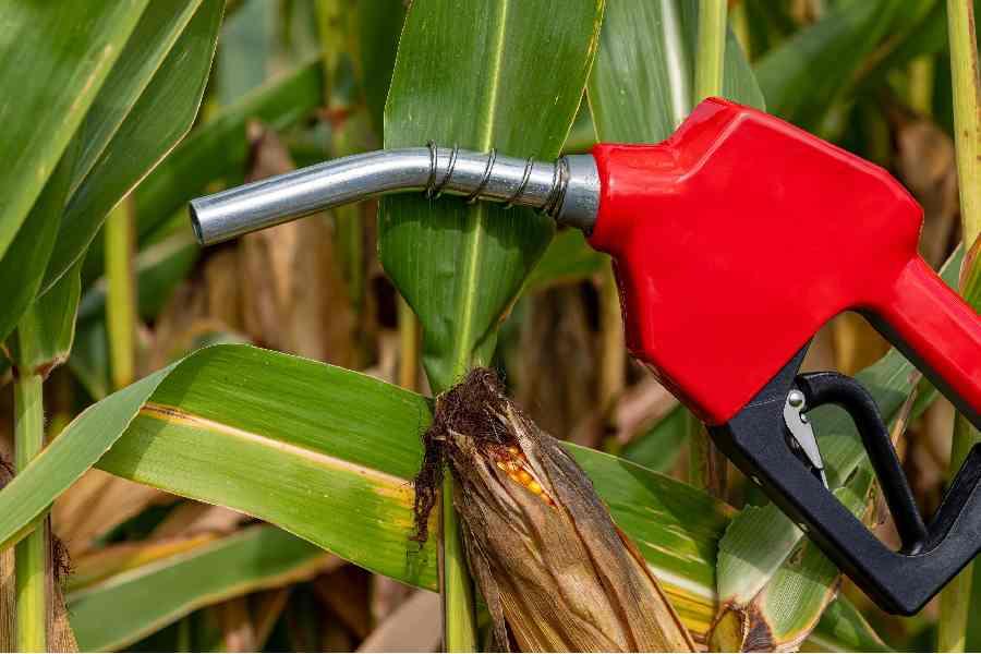 Etanol cai 3,8% e atinge o menor preço de 2026 no Brasil