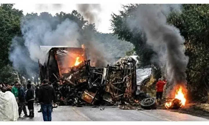 Acidente entre ônibus e caminhão deixa ao menos cinco mortos no Norte de Minas